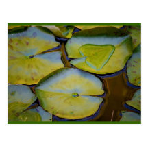Amour dans un nénuphar cartes postales