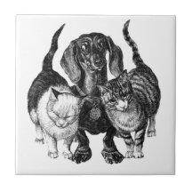 AMOUR DE CHATS ET DE CHIENS TUILE CARREAU EN CÉRAMIQUE
