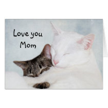 Amour de minou de mère cartes