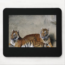 Amour de tigre tapis de souris