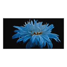 Amour et signification de marguerite de Shasta Cartes De Vœux Avec Photo