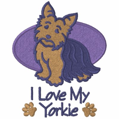 Amour Yorkshire Terrier
