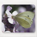 Amoureux de les jardins Mousepad de papillon et de Tapis De Souris