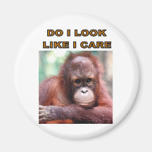 AMUSEMENT DE SINGE MAGNETS POUR RÉFRIGÉRATEUR