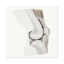Anatomie d'articulation de genou humaine impressions sur toile
