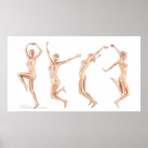 Anatomie femelle affiches
