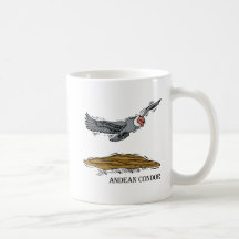 Andrea le condor d'Andea Tasse