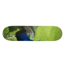 Animal de paon plateau de skateboard