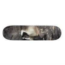 Animal d'écureuil skateboards personnalisables