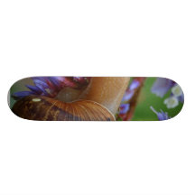 Animal d'escargot skateboards personnalisables