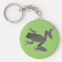 Animal familier de crapaud porte-clefs