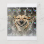 Animal Meme de conseil de chien de dénoyauteur Prospectus Customisé