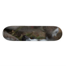 Animaux de lémurs skateboards cutomisables