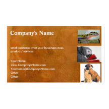 Animaux et soin des animaux familiers cartes de visite professionnelles
