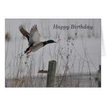 Anniversaire Cartes De Vœux