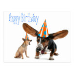 Anniversaire drôle de chien cartes postales