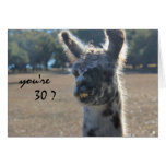 Anniversaire drôle de lama, 30ème, au-dessus de la cartes de vœux