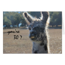 Anniversaire drôle de lama, 30ème, au-dessus de la cartes de vœux