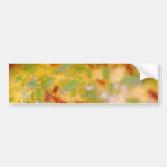 Aphids Bumperstickers