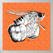 Appelen en Sinaasappels Poster