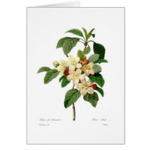 Apple fleurissent carte