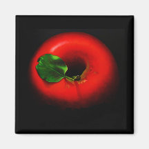 . Apple rouge Aimants