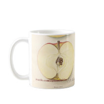 Apple vintage attaquent