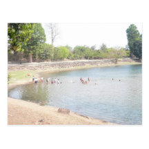 Apprécier la natation d'été cartes postales