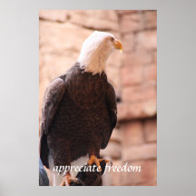 Appréciez la liberté Eagle Affiches