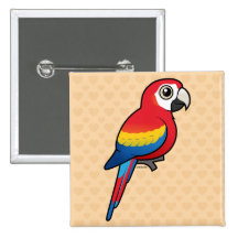 Ara d'écarlate badges