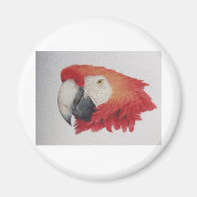 Ara tropical magnets