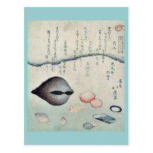 Aragai, masuogai, palourdes d'anagai par Totoya, H Carte Postale