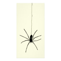 Araignée accrochante photocartes personnalisées