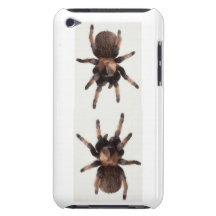 ARAIGNÉES COQUES iPod TOUCH 