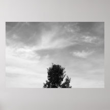 Arbre Affiches