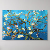 Arbre d'amande de floraison de Van Gogh Affiche