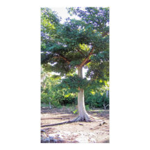 Arbre de carte de Sagesse-photo Carte Avec Photo