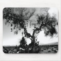 arbre de chaussure