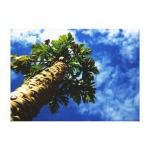 ARBRE de copie de toile d'INSPIRATION Toiles Tendues