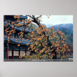 Arbre de kakis, chute affiche