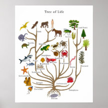 Arbre de la vie posters