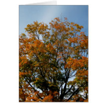 Arbre de miroitement de Blank_Orange Carte De Vœux