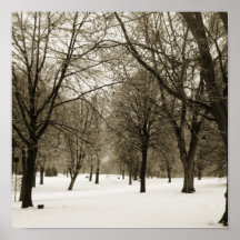 arbre de neige d'hiver posters