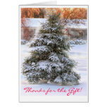 arbre de Noël dans le coucher du soleil, merci pou Cartes