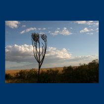 Arbre d'Euphobia (?) posters
