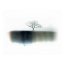 Arbre en brumes grises cartes postales