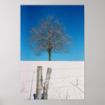 Arbre en hiver poster