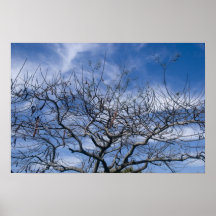 ARBRE ET CIEL NUS POSTERS