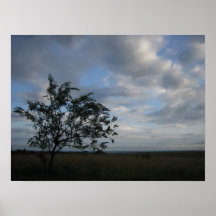 Arbre et nuages posters