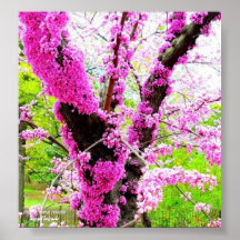 ARBRE, FLEURS AFFICHES